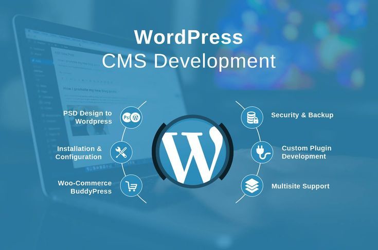 Website Designing Course in Perinthalmanna 