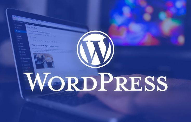 SEO Course in Perinthalmanna
